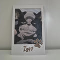 Jojo stardust crusaders collectable card Iggy