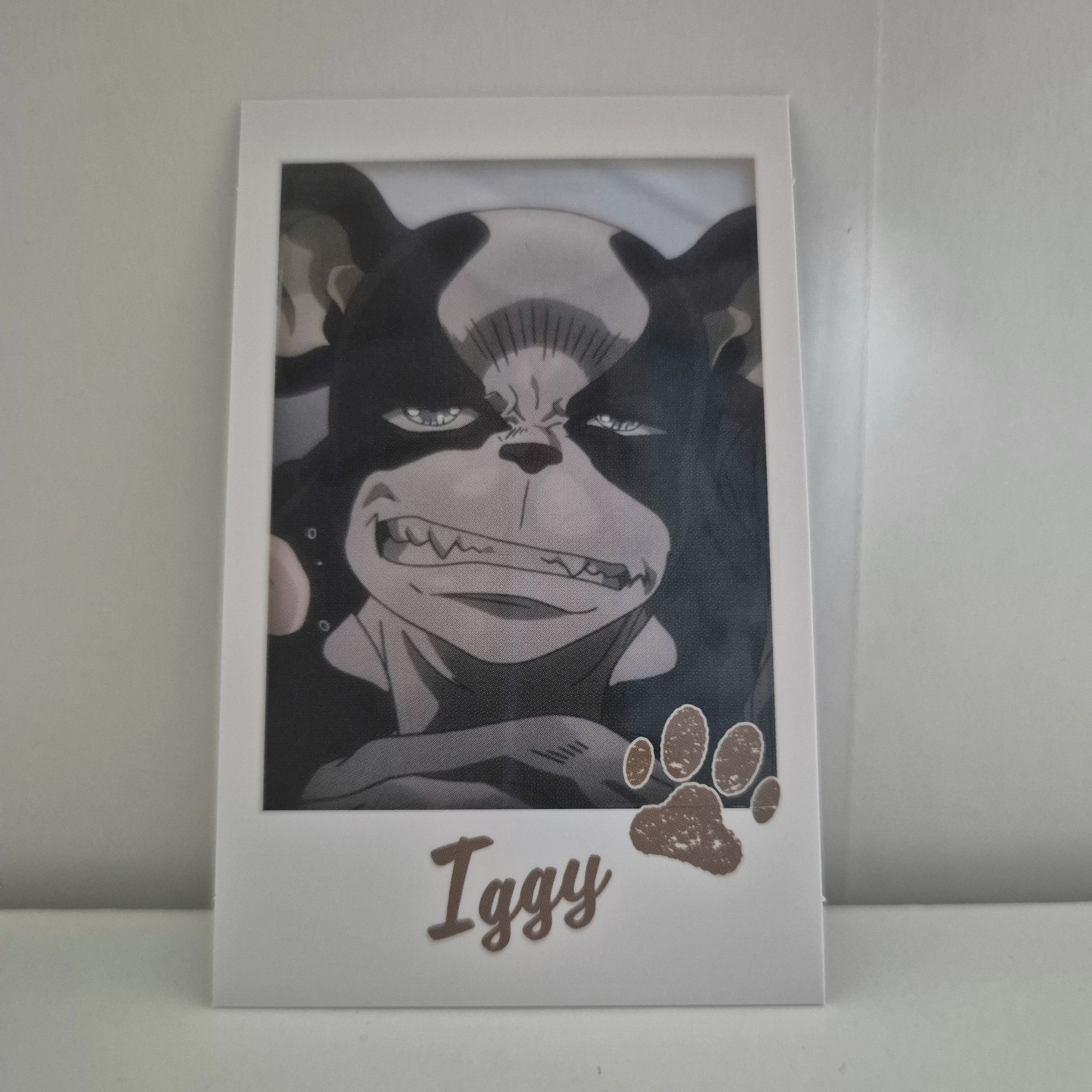Jojo stardust crusaders collectable card Iggy